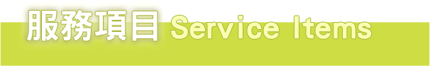 Service Items